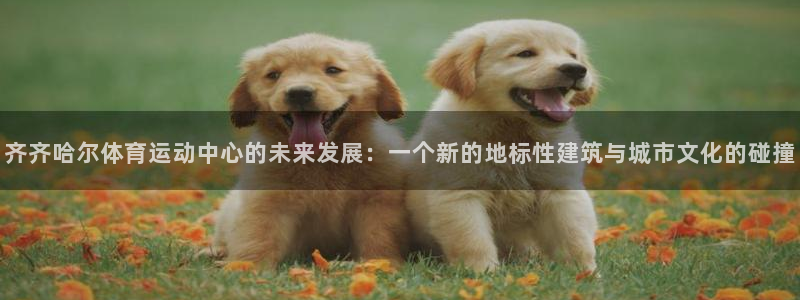 齐齐哈尔体育运动中心的未来发展：一个新的地标性建筑与城市文化的碰撞
