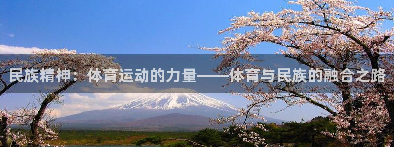 民族精神：体育运动的力量——体育与民族的融合之路