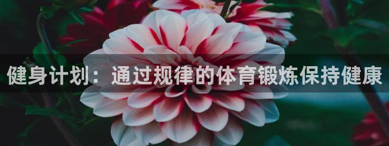 健身计划：通过规律的体育锻炼保持健康