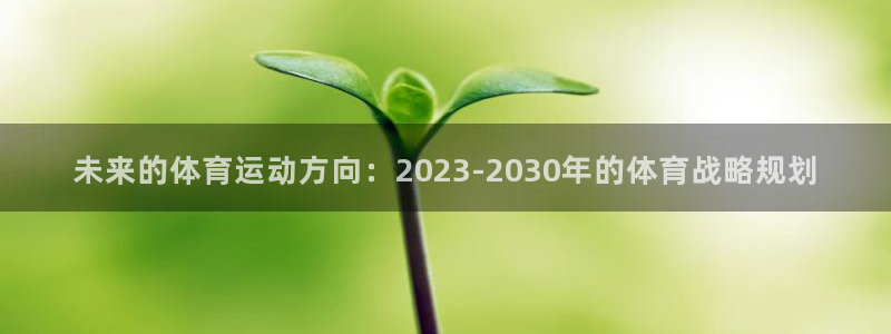 未来的体育运动方向：2023-2030年的体育战略规划