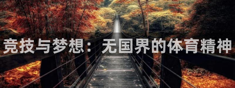 竞技与梦想：无国界的体育精神