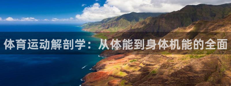体育运动解剖学：从体能到身体机能的全面