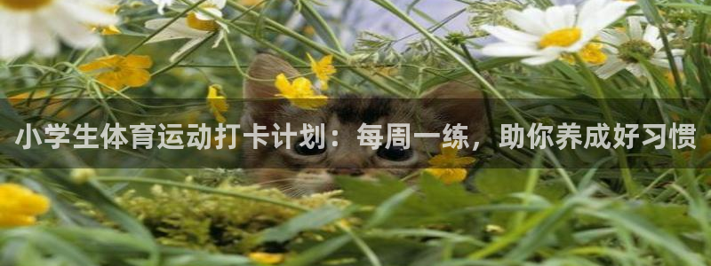 小学生体育运动打卡计划：每周一练，助你养成好习惯
